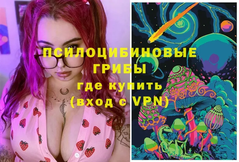 Галлюциногенные грибы Magic Shrooms  сколько стоит  Пошехонье 